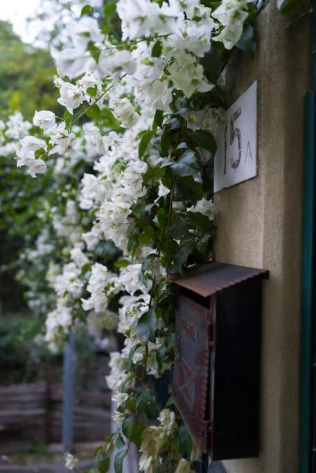 Apartmán Genova Garden, Vicino Al Gaslini E Boccadasse Exteriér fotografie